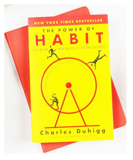 Exploring the Power of Habit